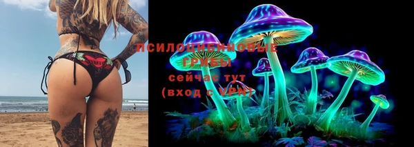 трава Бородино