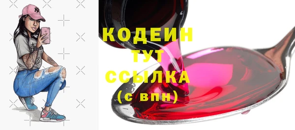стаф Богородск