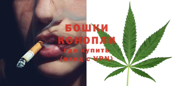 амф Бронницы