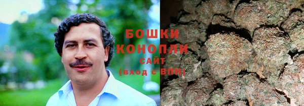 амф Бронницы