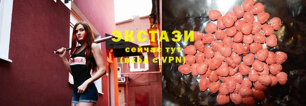 стаф Богородск