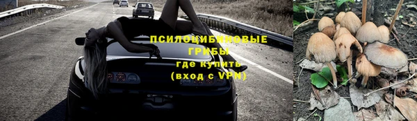 не бодяженный Богородицк