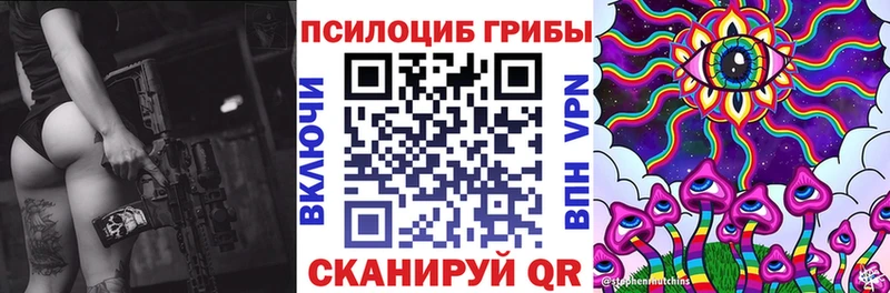 магазин продажи   Дегтярск  Псилоцибиновые грибы Psilocybe 